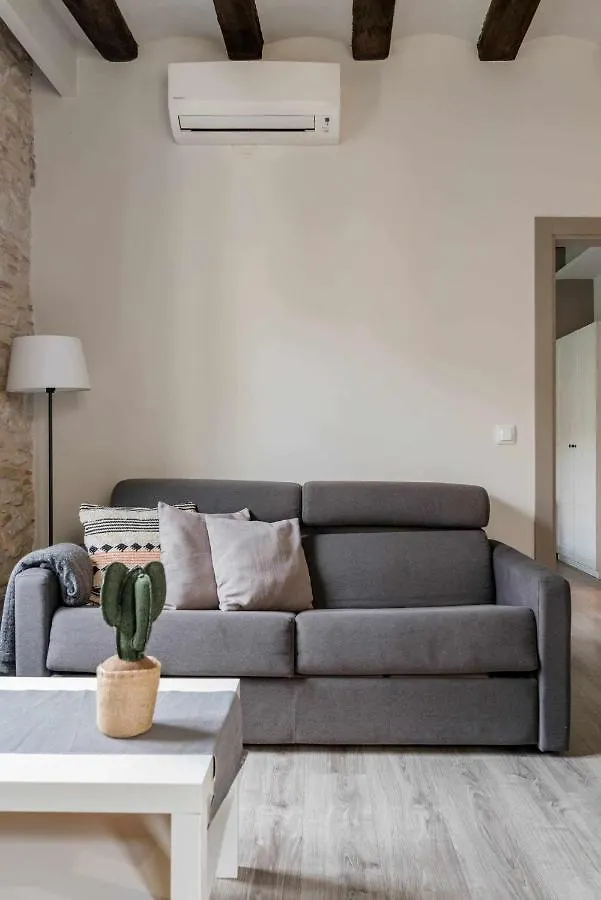 Bonaventura 4 Restored Apartment In Heart Of City Girona